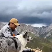 caine furat si mancat in china captuta YouTube BILD png