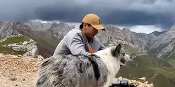 caine furat si mancat in china captuta YouTube BILD png
