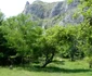 turism ecvestru alba