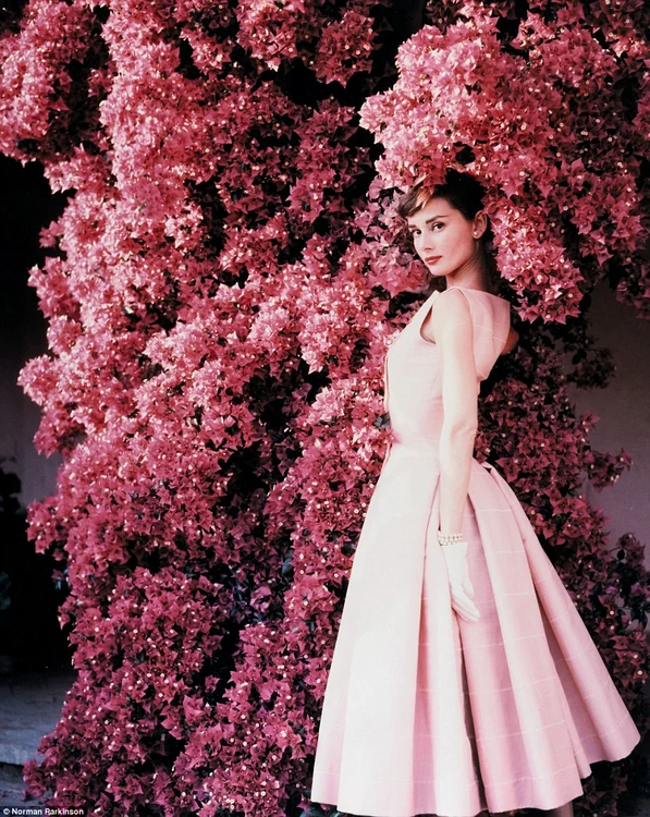 Audrey Hepburn jpeg