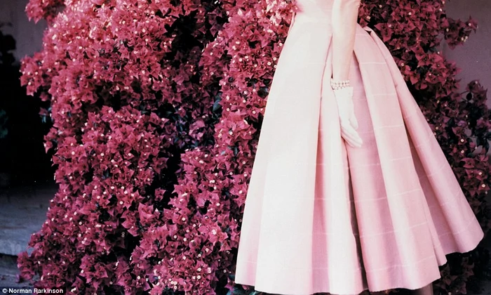 Audrey Hepburn jpeg