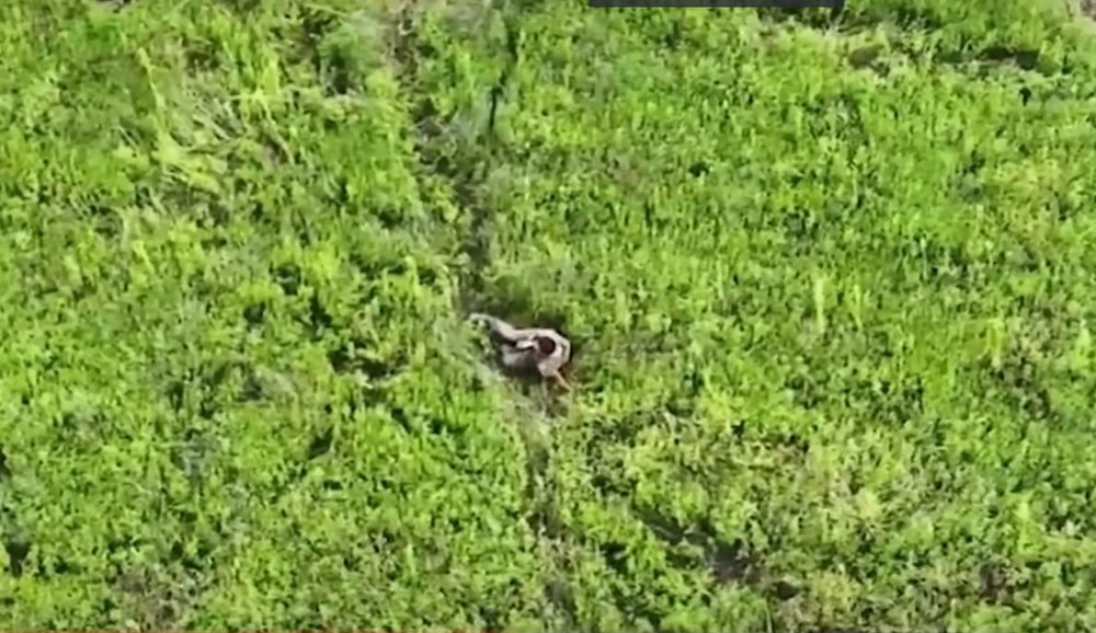 Soldat ucrainean, grav rănit, salvat de o dronă în regiunea Zaporojie VIDEO