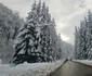 Stațiunea Râușor din Retezat  Foto Daniel Guță ADEVĂRUL (1) jpg