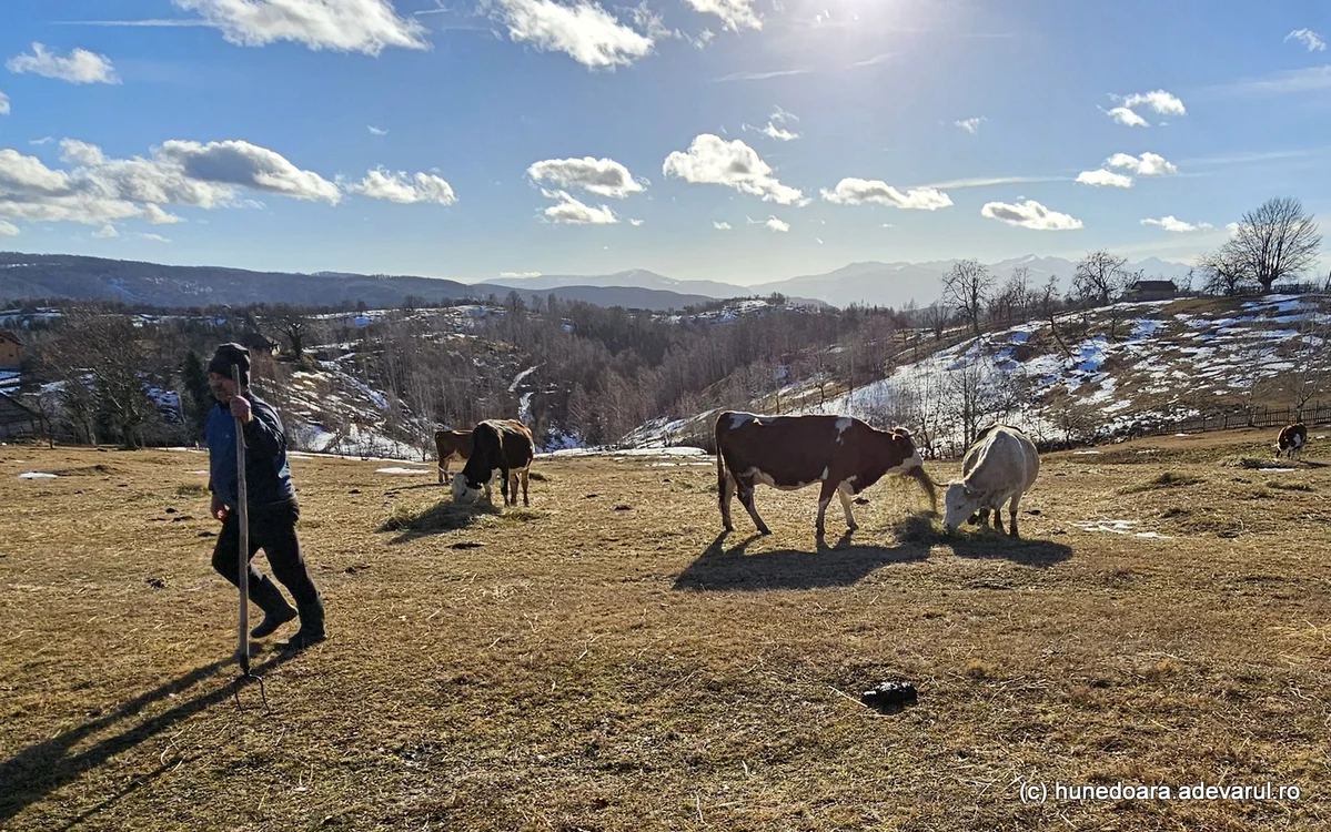 Munții Retezat se văd la orizont, din satul Târsa din Hunedoara. Foto: Daniel Guță. ADEVĂRUL