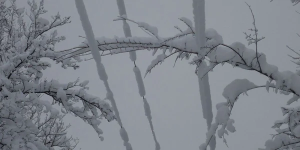 reţele electrice afectate in mehedinti FOTO CEZ România 