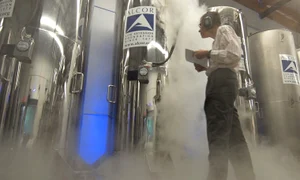 Alcor Life Extension jpg