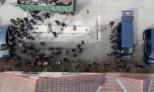 Imagini de la căutările lui Gânj Emil în județul Bistrița Năsăud mp4 thumbnail png