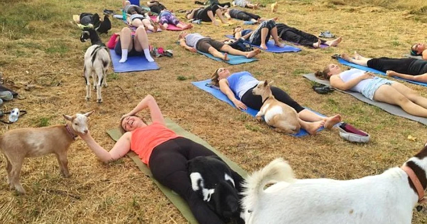 yoga capre