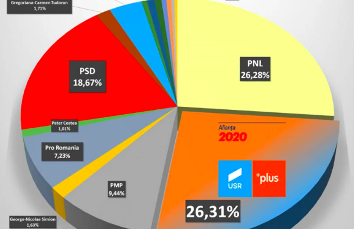 Rezultate finale europarlamentare 2019 Constanţa Sursa BEJ