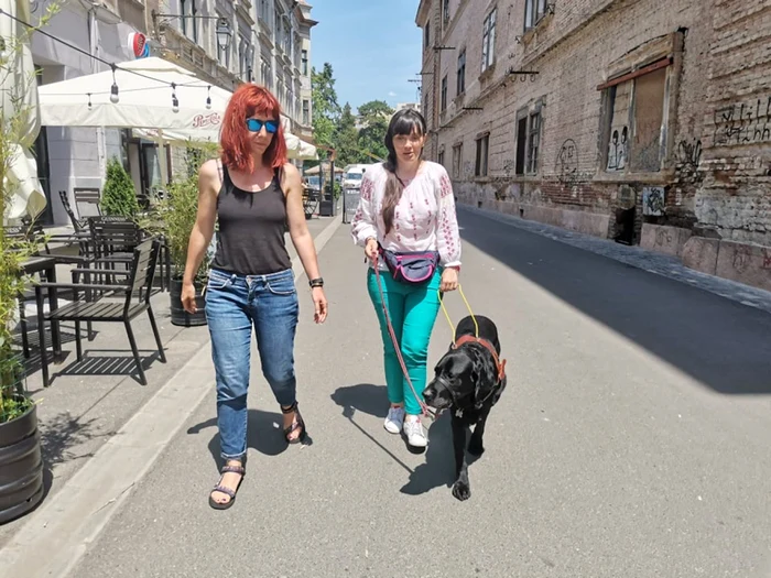Câine ghid pentru nevăzători FOTO Ş.Both