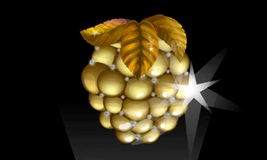 zmeura de aur foto shutterstock