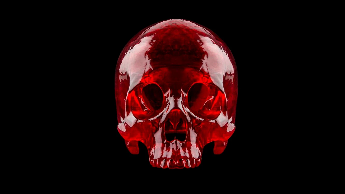
    Craniu printat 3D  