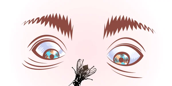 musca ilsutatie shutterstock 256915984 jpeg