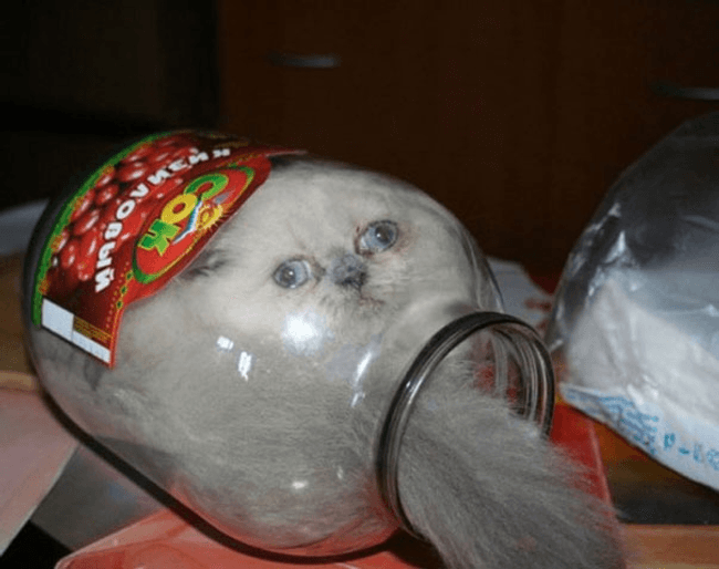 Content image