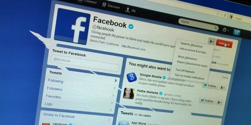 facebook follow twitter foto adevarul