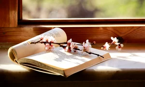 De la primele pagini, „Scarred” te prinde într o poveste captivantă – Descoperă volumul II din seria Never After la Bookzone png