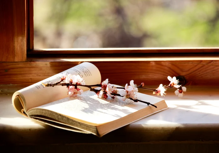 sursa foto: www.bookzone.ro