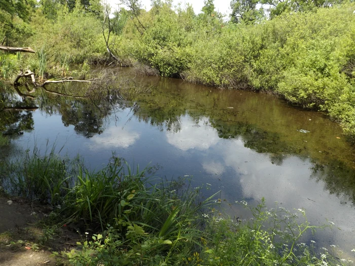Sătenii din Negreşti spun că lacul ascunde comoriFoto: "Adevărul"