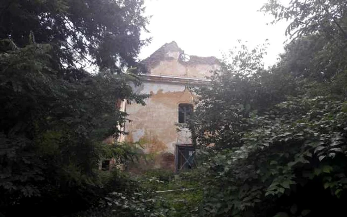 Castelul Konopi de la Odvoş