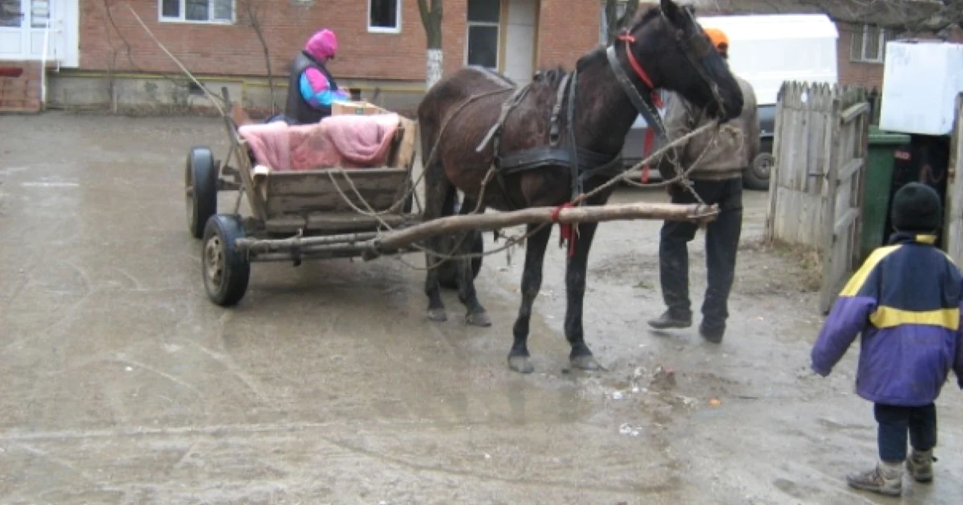 În căruța omului au fost găsiți șapte saci cu teracotă