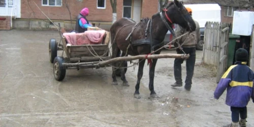 În căruța omului au fost găsiți șapte saci cu teracotă