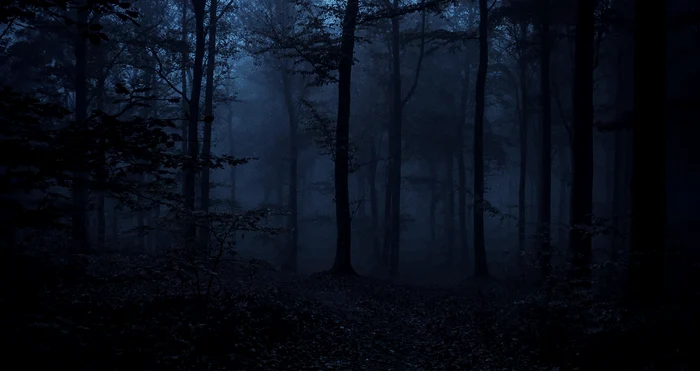 Pisicile domestice fac tot mai mulți hibrizi / foto: arhiva