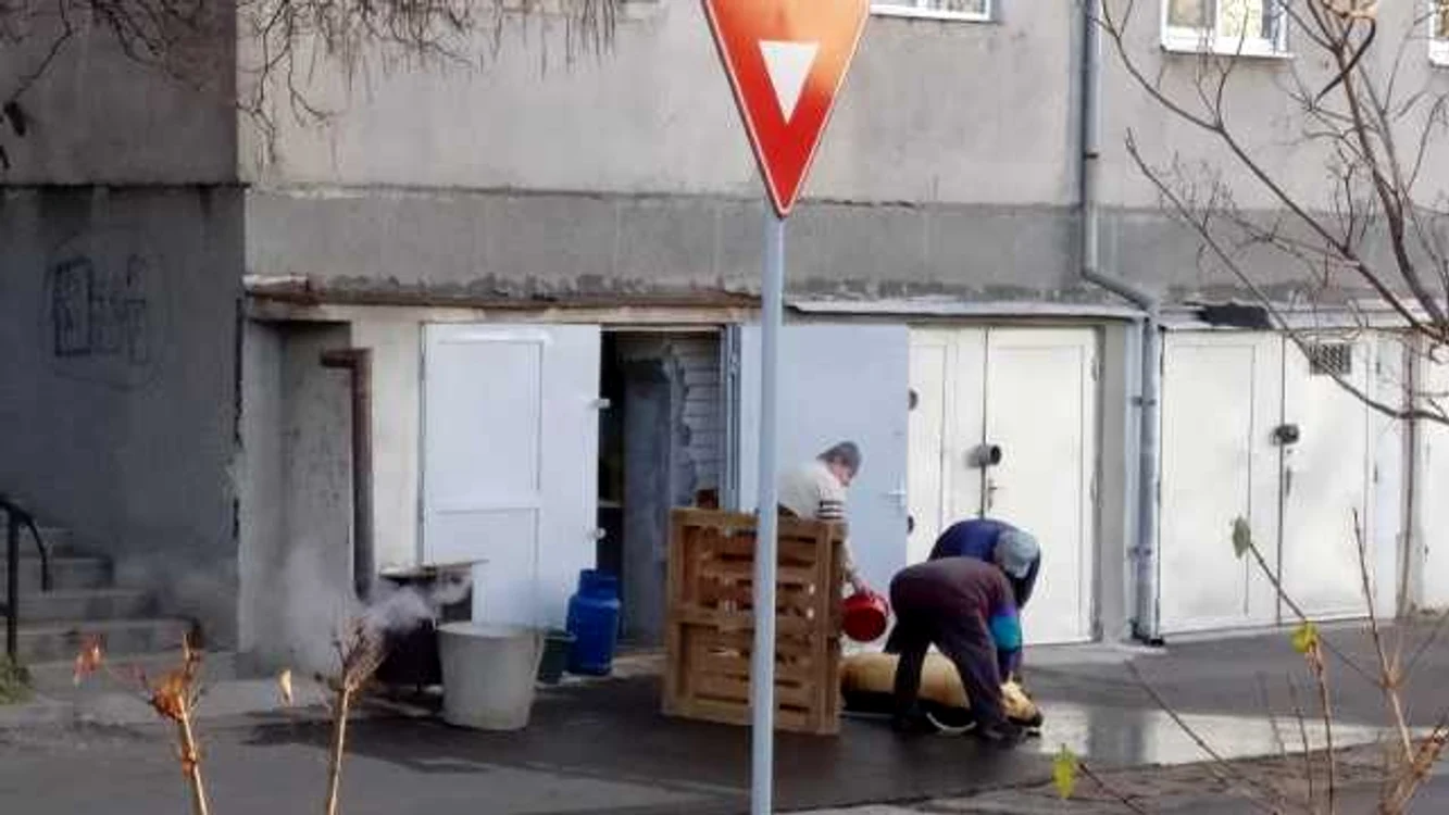 Poliţia Locală Oradea a fost alertată de locatarii blocului în faţa căruia un orădean şi-a tăiat şi tranşat porcul
