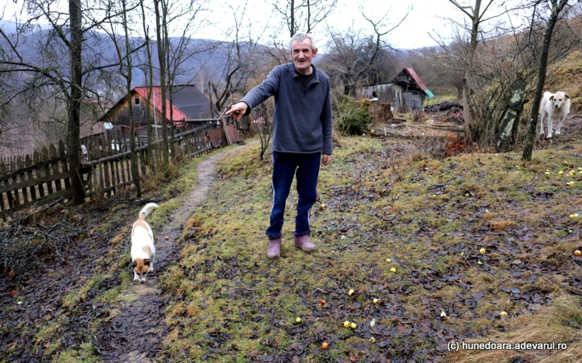 Pătru Vasilescu, unul dintre puţinii localnici din Prihodişte. FOTO: Daniel Guţă. ADEVĂRUL