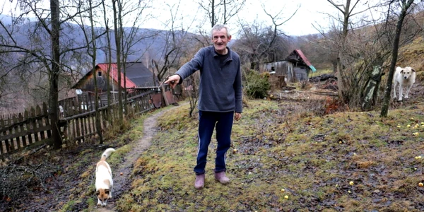 prihodiste muntii orastiei foto daniel guta adevarul