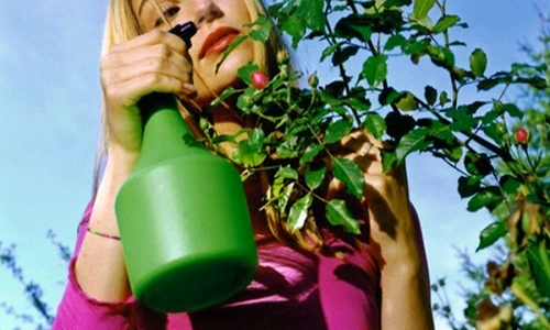 1 47185 original jpg jpeg