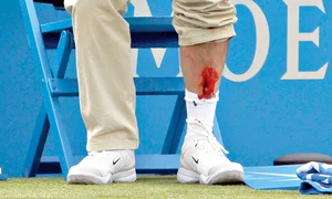 Nalbandian şi a cerut  scuze după incidentul  în care a lovit  un arbitru (fotografii: reuters) jpeg