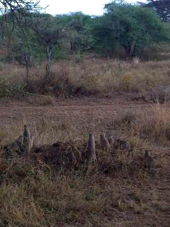 Delia Matache trăiește o experiență deosebită în Tanzania. (Foto: Arhiva personală)