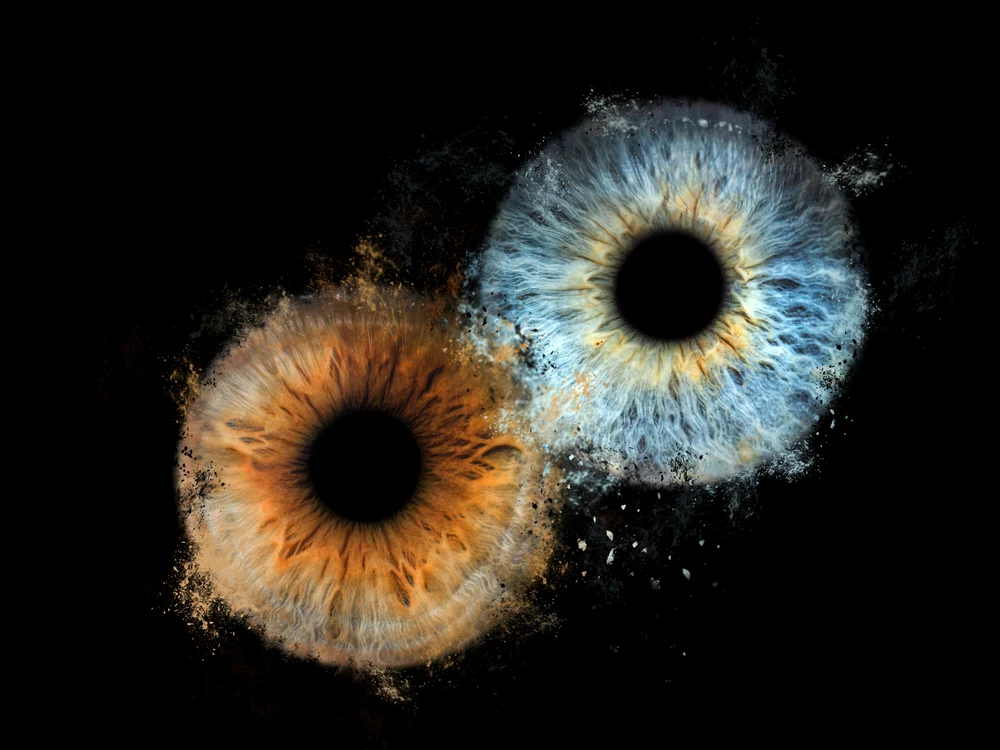 Iris FOTO Shutterstock