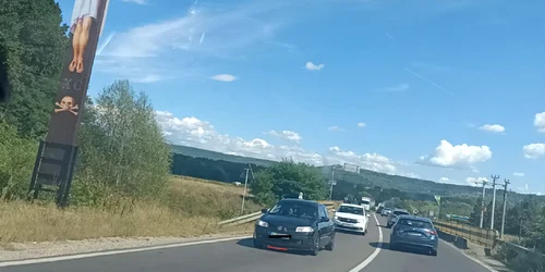 Cruce uriașă pe DN7 Dealul Negru la Milcoiu Vâlcea Foto Daciana Stoica