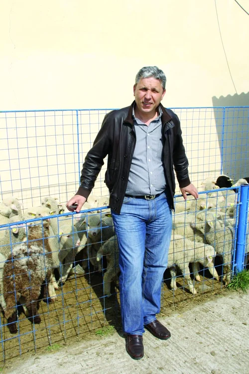 Ciobanul care-şi trimite miei la export