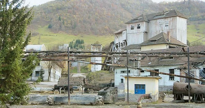 Afacerea ilegală s-a desfăşurat în oraşul Baia de Arieş din Munţii Apuseni. Foto Dorin Ţimonea