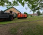 Mocănița de pe Valea Hârtibaciului  Foto Daniel Guță  ADEVĂRUL (10) jpg