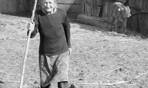 Cu maşina, prin Deltă jpeg