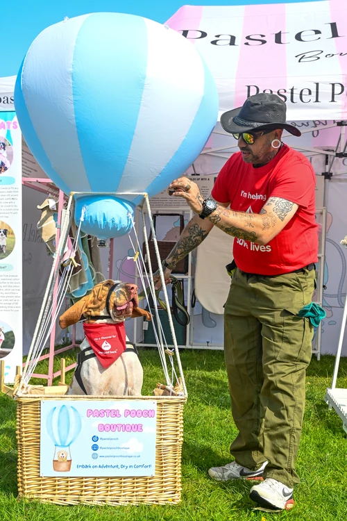 Un cățel s-a pozat într-un balon ornamental (Foto: Profimedia)