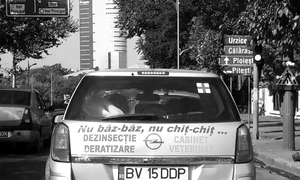 Cu ochii n 3,14 jpeg