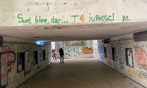 p 24 M  Plesu jpg