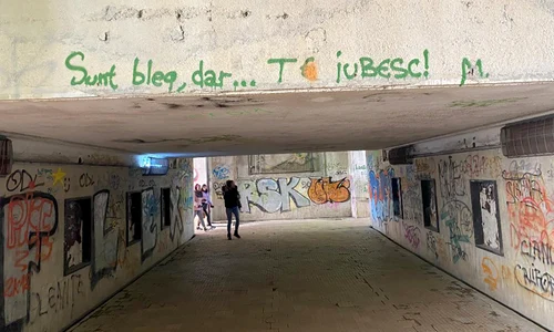 p 24 M  Plesu jpg