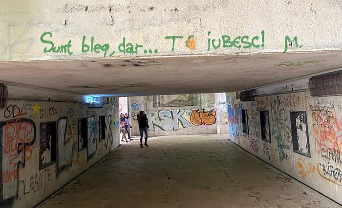 © M. Pleșu