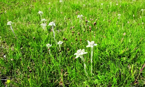 1 64503 original jpg jpeg