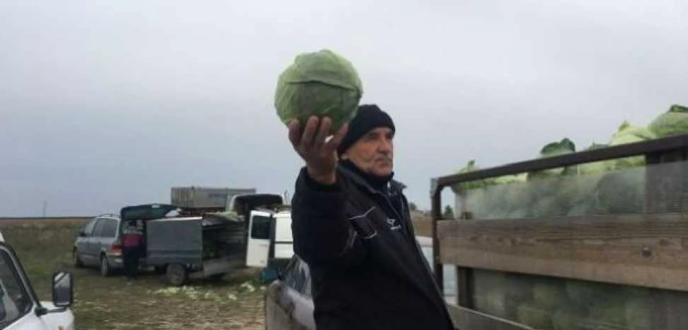 Varza de Moţăţei este cea mai renumită din toată ţara