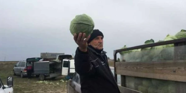 Varza de Moţăţei este cea mai renumită din toată ţara