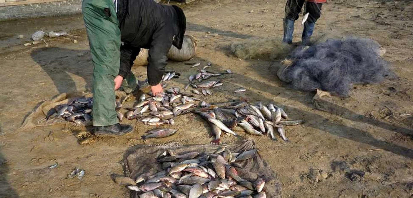 Marfă confiscată de la braconieri. Foto: Arhivă