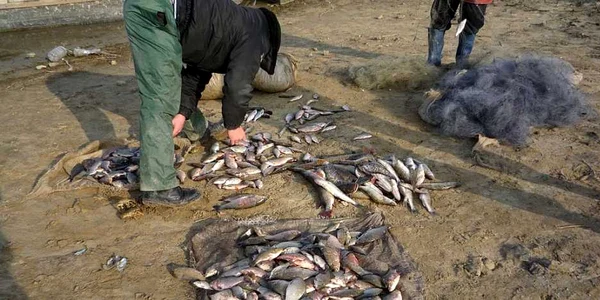 Marfă confiscată de la braconieri. Foto