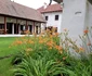 Conacul Bălceștilor sau Muzeul Memorial din comuna Nicolae Bălcescu județul Vâlcea înainte de reabilitare Foto CNIPT Vâlcea jpg