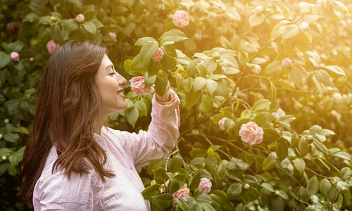 attractive happy woman holding pink flower growing green twig jpg